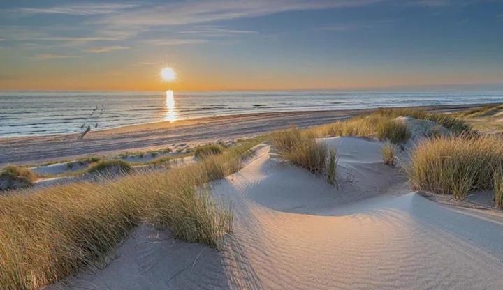 Bondi Beach Renesse Eksteriør billede
