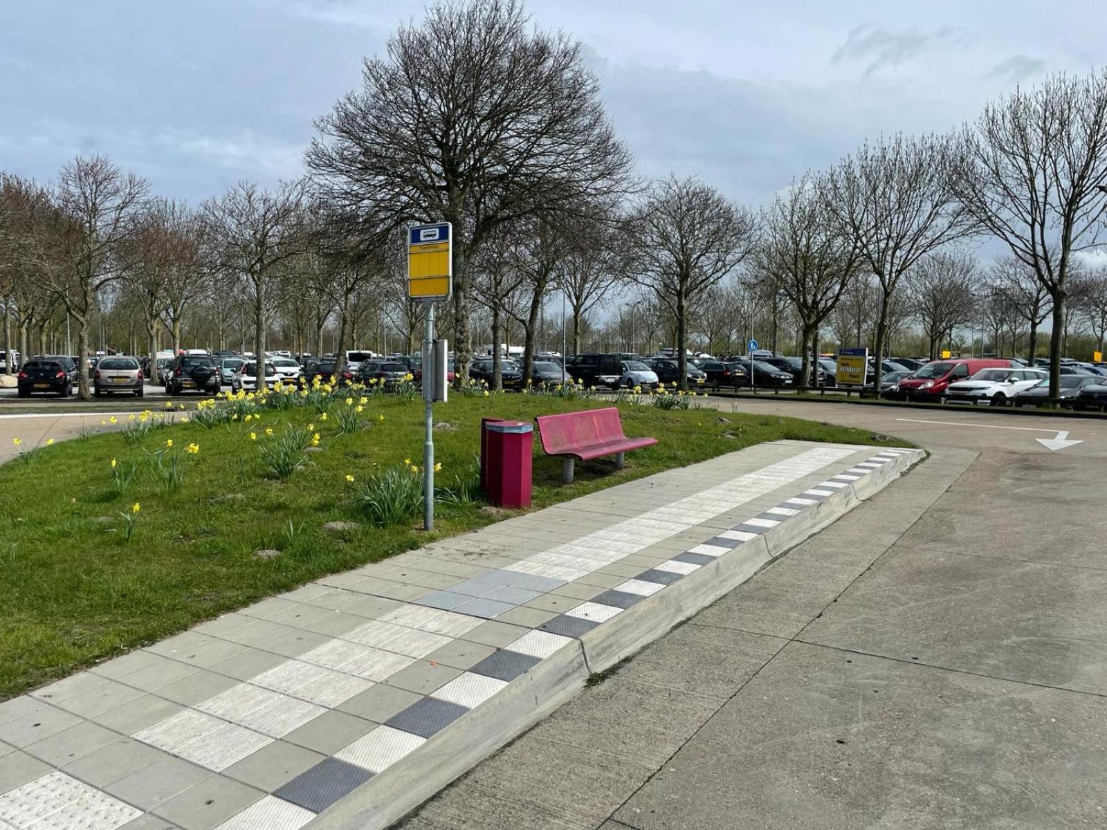 Bondi Beach Renesse Eksteriør billede