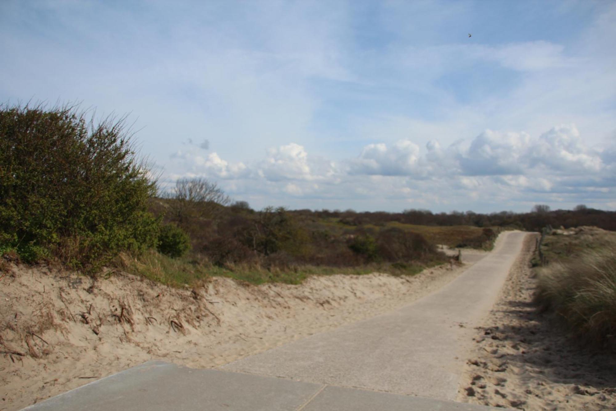 Bondi Beach Renesse Eksteriør billede