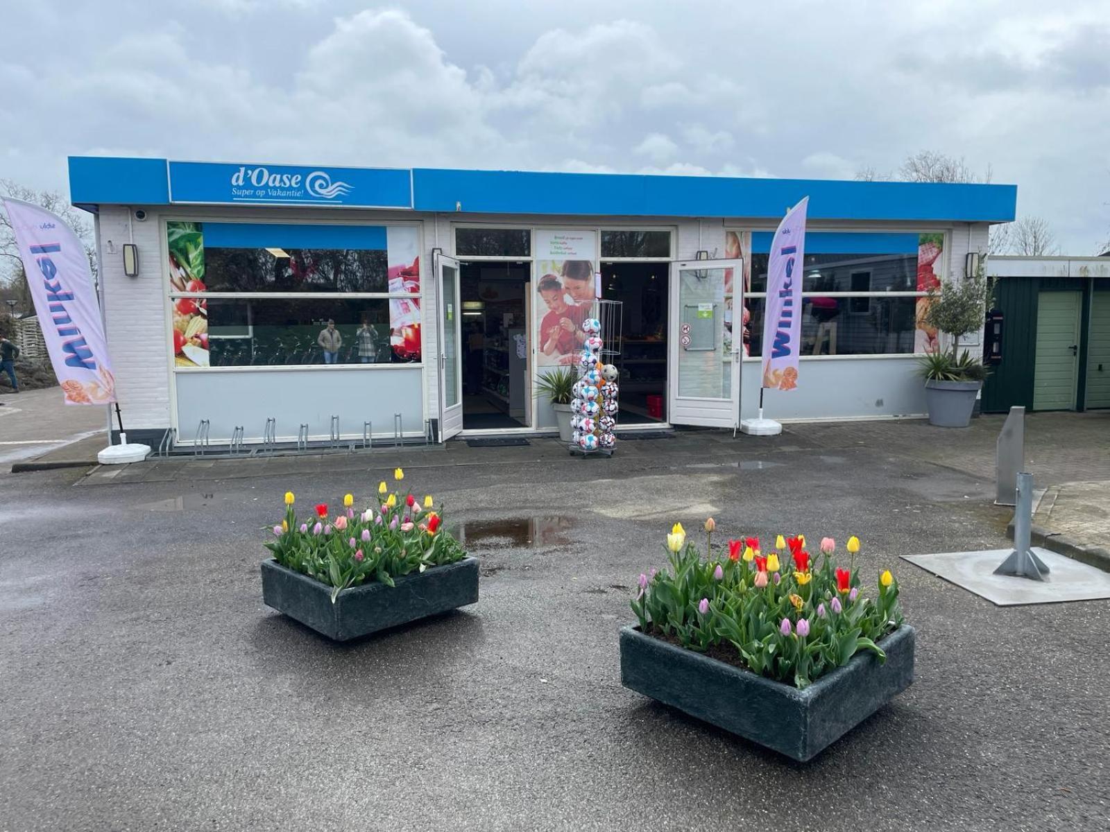 Bondi Beach Renesse Eksteriør billede